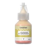 Intimus - تمزيق المستندات